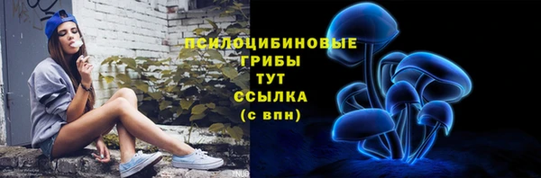 прущие крисы Гусев