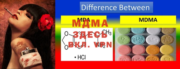 ПСИЛОЦИБИНОВЫЕ ГРИБЫ Вяземский