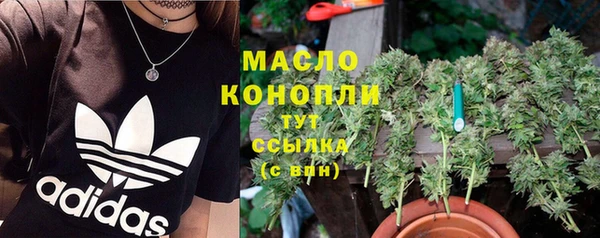 кристаллы Гусь-Хрустальный