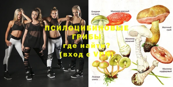 прущие крисы Гусев