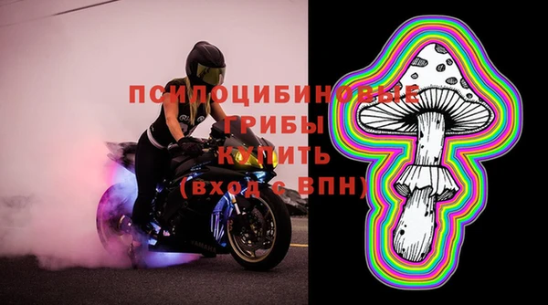 кристаллы Гусь-Хрустальный