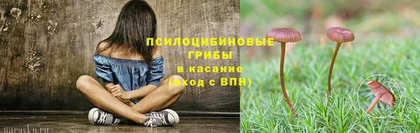 меф Гусиноозёрск