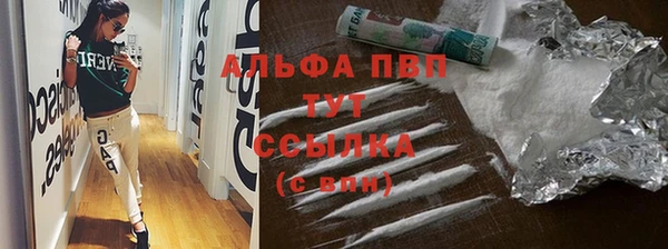 прущие крисы Гусев