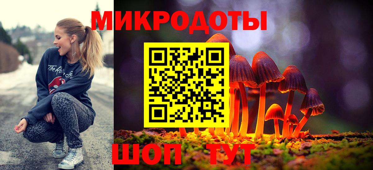 Галлюциногенные грибы Cubensis  Дзержинский  Галлюциногенные грибы мицелий 